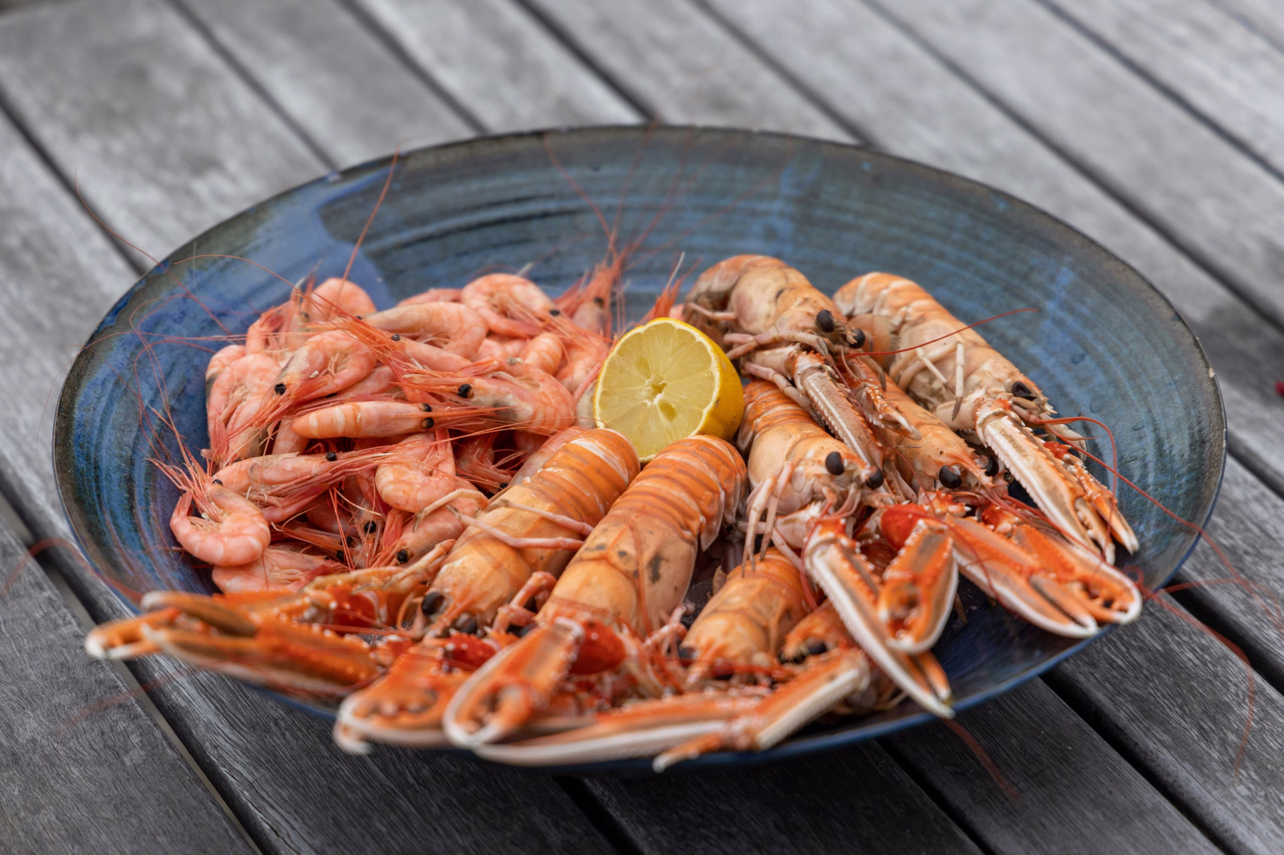 Langoustines are the New Lobster, featured at fine dining restaurants in London.