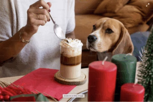 7 Irresistible Homemade Treats for You and Your Dog to Share