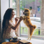 A dog and owner enjoying a perfect date day with your pet at a cozy pet-friendly cafe, sharing a meal together.