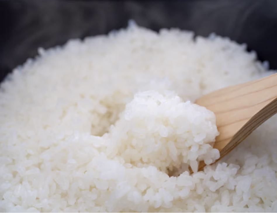 Steamed white rice prepared as the base for bibimbap.